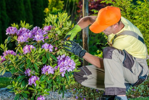 Tree Surgeons Yeading secure payment area with protected transaction interface