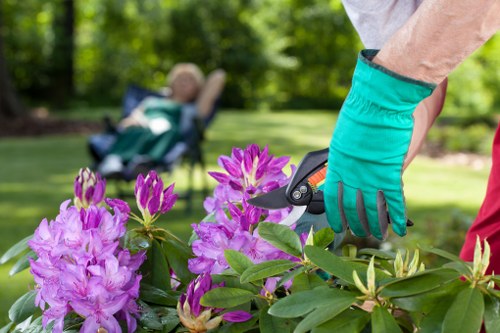Accepted payment methods for Tree Surgeons Yeading including card and PayPal options