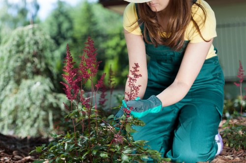 SSL encrypted payment process for Tree Surgeons Yeading customers