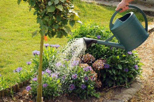 Healthy mature trees improving a Yeading landscape