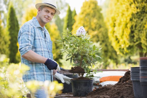 Garden tree maintenance and hedge cutting for a Yeading home
