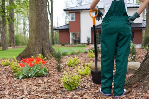 Yeading tree surgery team reinforcing anti-slavery controls